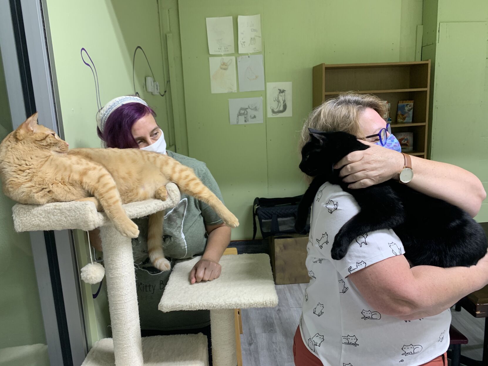 Downtown Orlando cat café is helping felines get adopted amid a pandemic